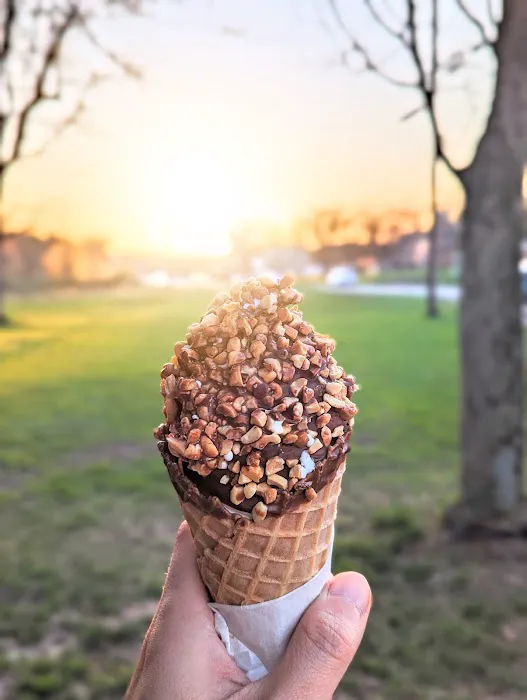 Hunters' Dairy Freez Picture 10