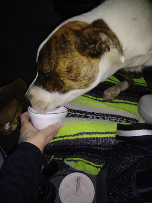 Hunters' Dairy Freez Picture 7