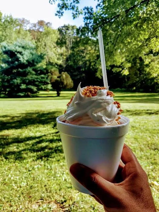 Hunters' Dairy Freez Picture 9