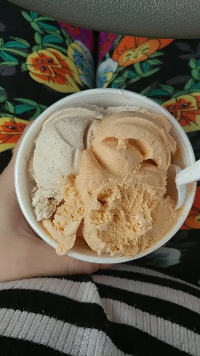 Maurer's Dairy & Ice Cream Shoppe Picture 1