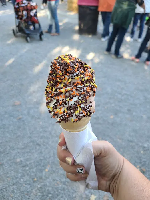 Knoebels Ice Cream Picture 1