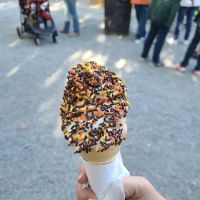 Knoebels Ice Cream ico