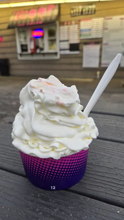 The Village Scoop Ice Cream Picture 4