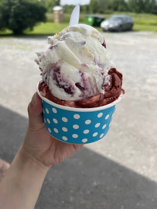 Sprinkles Creamery Picture 4