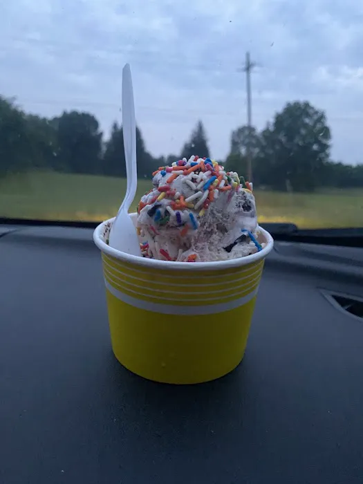 Moonie's two scoops Picture 1