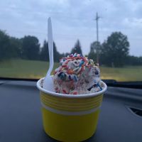 Moonie's two scoops ico