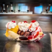 Conesus Lake Creamery ico