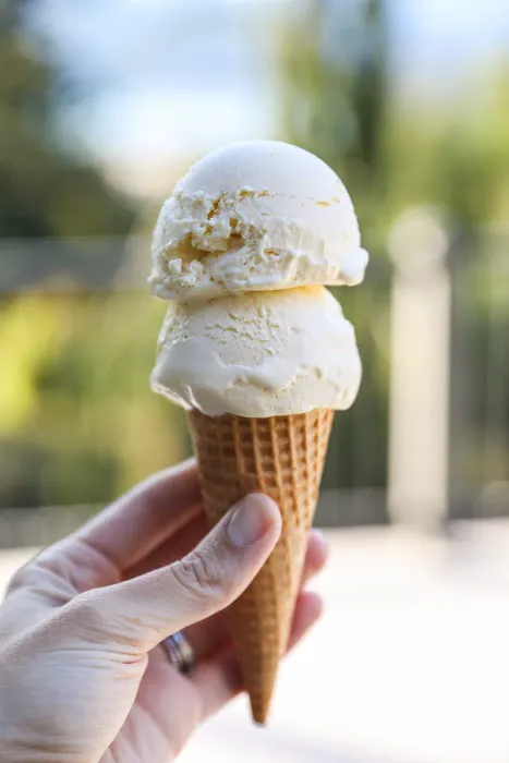 S'mores Ice Cream Shoppe Picture 3