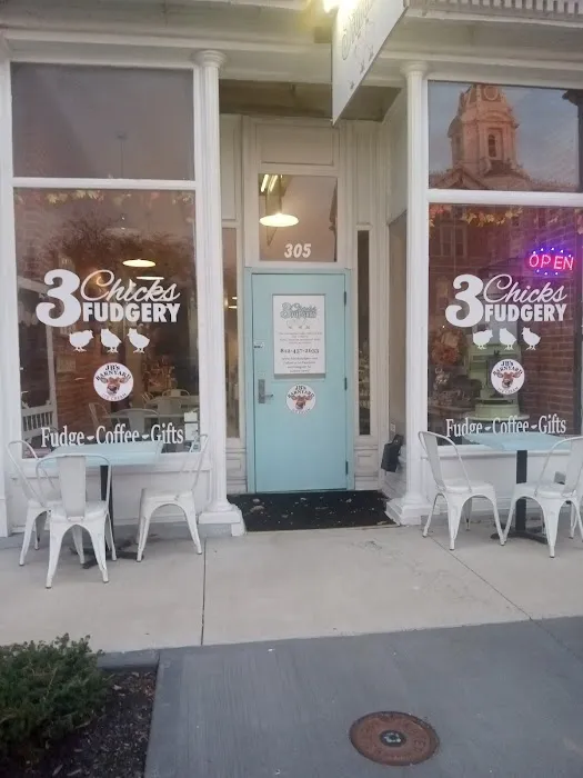 3 Chicks Fudgery Picture 3