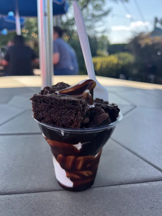 Carousel Frozen Treats Picture 10