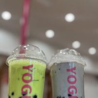 Frozen Yogi ico
