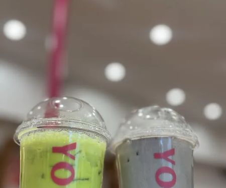 Frozen Yogi