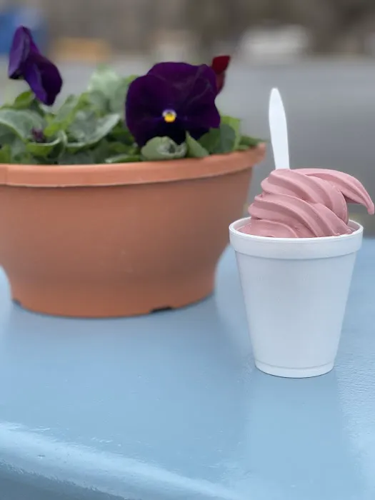Pack’s Ice Cream Picture 3