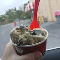 Bruster's Real Ice Cream ico