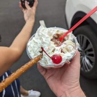 Bruster's Real Ice Cream ico