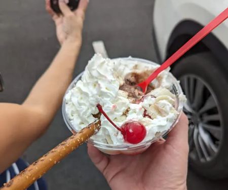 Bruster's Real Ice Cream
