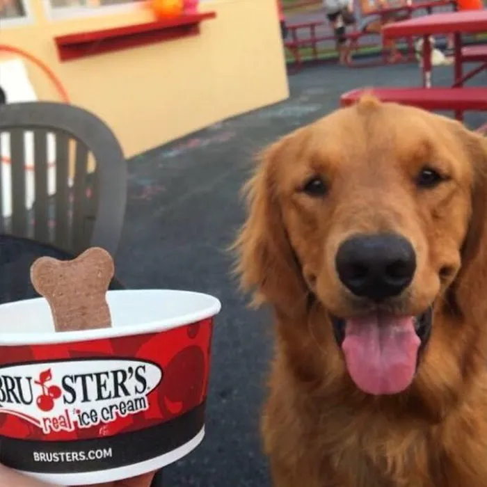 Bruster's Real Ice Cream Picture 10