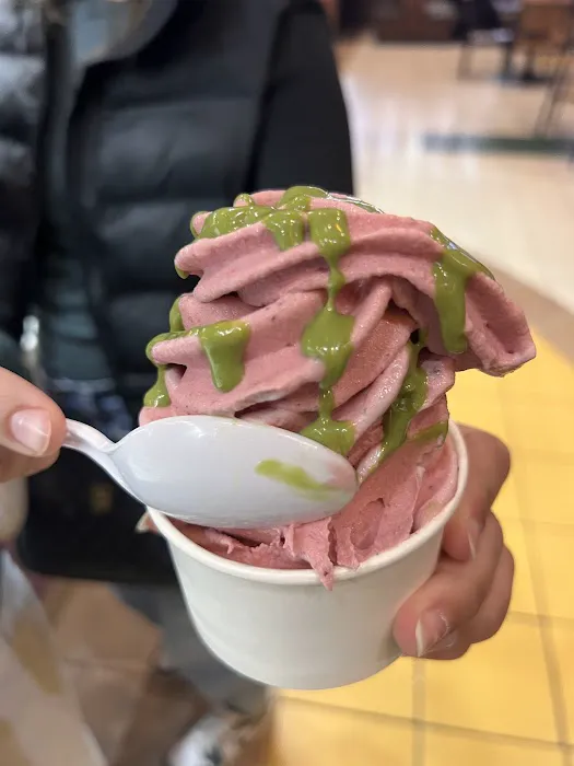 JAMUN NZ Style Ice Cream Picture 1