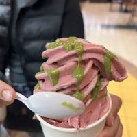 JAMUN NZ Style Ice Cream ico