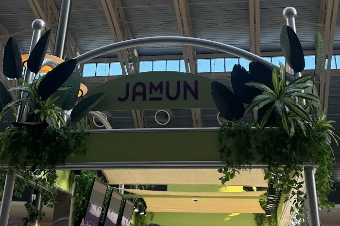 JAMUN NZ Style Ice Cream Picture 6