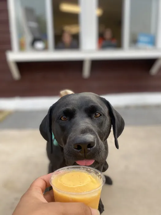 Carmen's Italian Ice at Clarksburg Market Picture 1