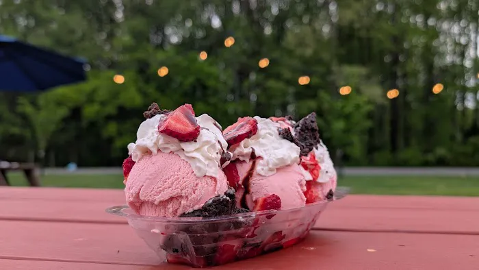 The Icecream Yard Picture 7