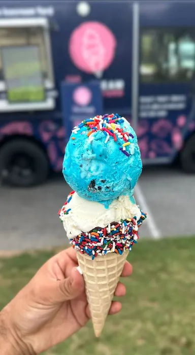 The Icecream Yard Picture 6