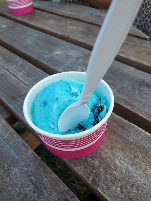 The Icecream Yard Picture 8
