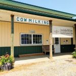 Brown Cow Creamery