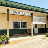 Brown Cow Creamery ico