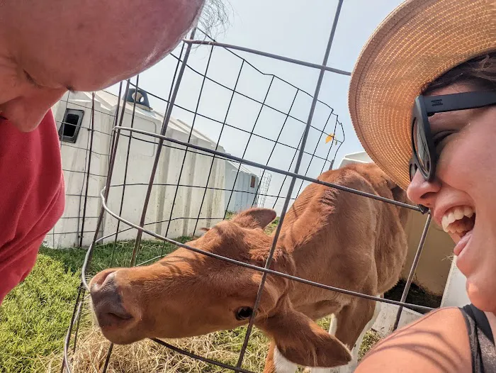 Brown Cow Creamery Picture 4