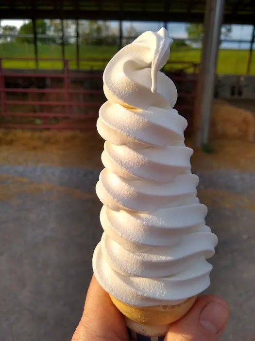 Pocantico Jersey Farm and Creamery Picture 5