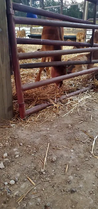 Pocantico Jersey Farm and Creamery Picture 9