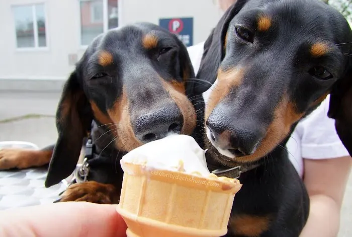 Reesers' Soft Ice Cream Picture 7