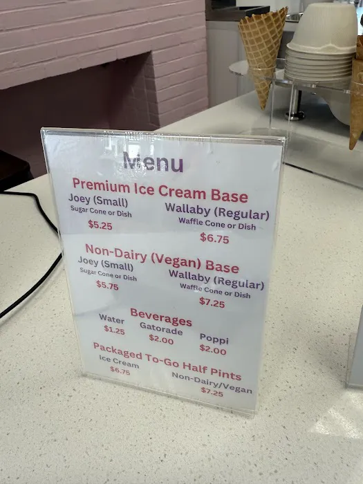 Joey Jak's Real Fruit Ice Cream Picture 1