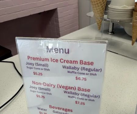 Joey Jak's Real Fruit Ice Cream