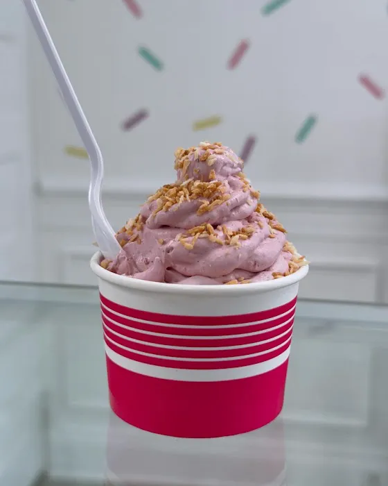 Joey Jak's Real Fruit Ice Cream Picture 7