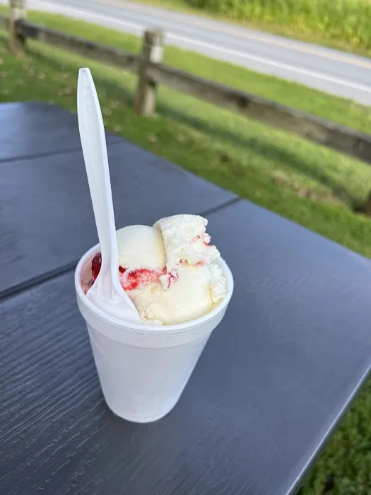 Becky's (Sunset) Ice Cream Picture 8