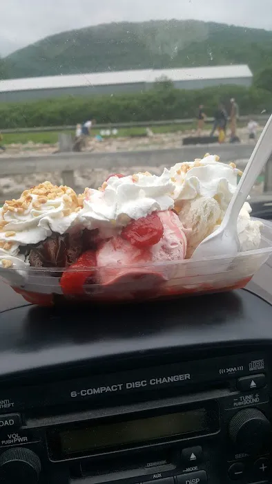 Becky's (Sunset) Ice Cream Picture 6