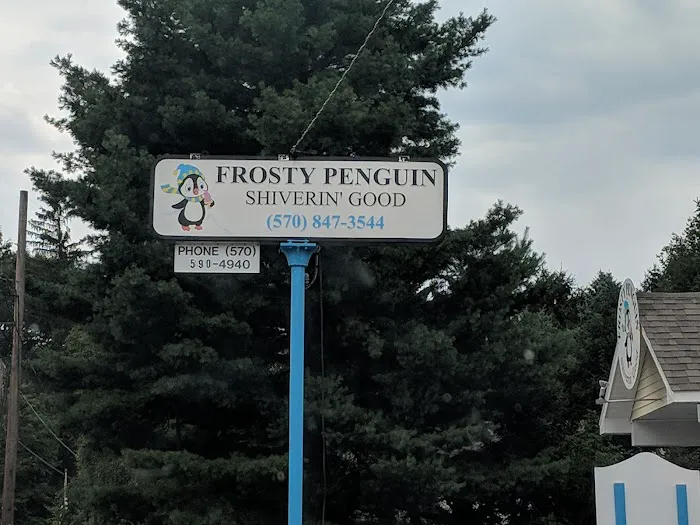 Frosty Penguin Picture 3