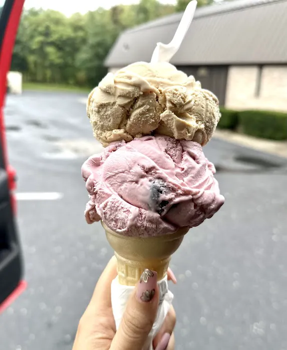 3B Ice Cream (Derry St.) Picture 4