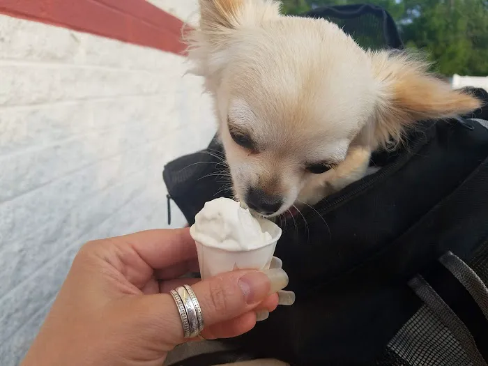 Rita's Italian Ice & Frozen Custard Picture 10