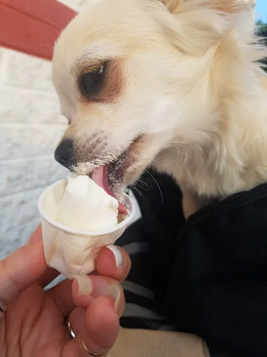 Rita's Italian Ice & Frozen Custard Picture 5