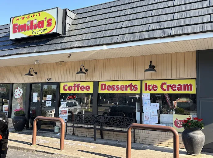 Sweet Emilia's Ice Cream Picture 6