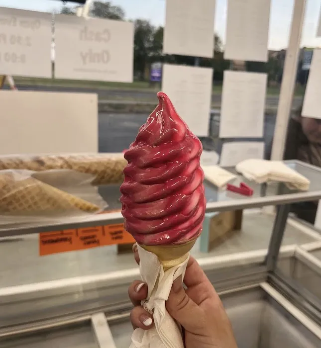 Cone Zone Picture 1
