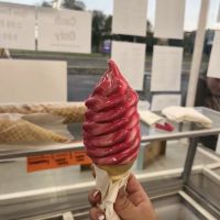 Cone Zone ico
