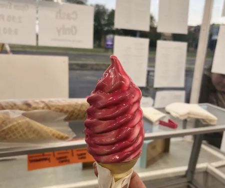 Cone Zone