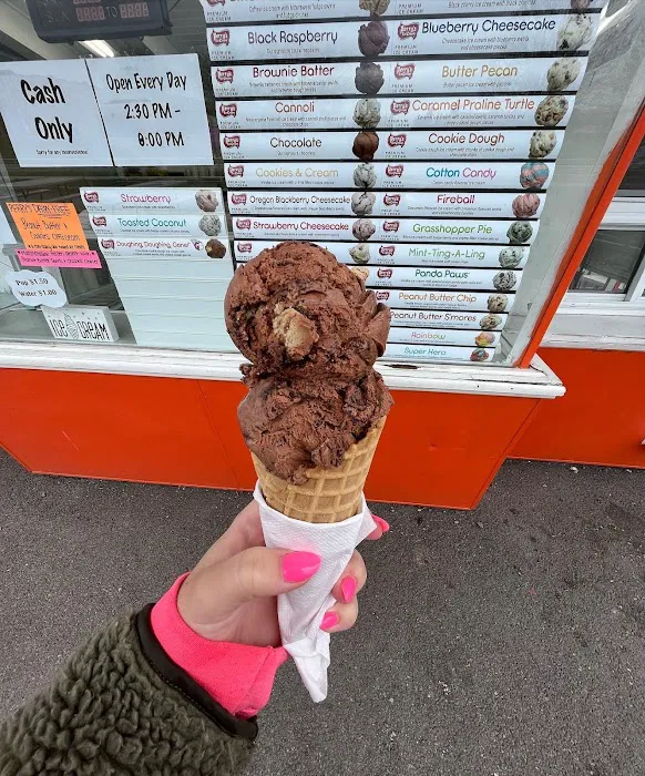 Cone Zone Picture 4