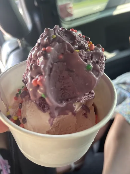 Cone Zone Picture 10