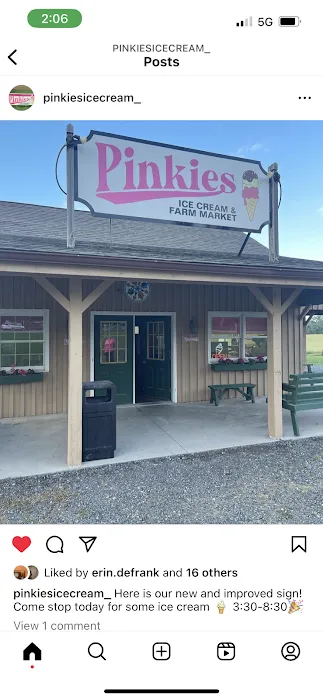 Pinkies Ice Cream and Farm Market Picture 8